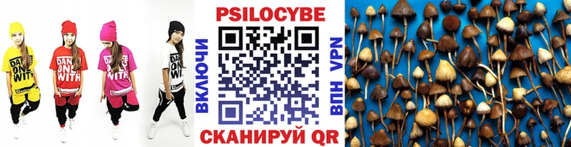 Галлюциногенные грибы Magic Shrooms  наркота  Нелидово 